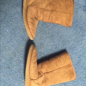 Tall Chestnut Uggs