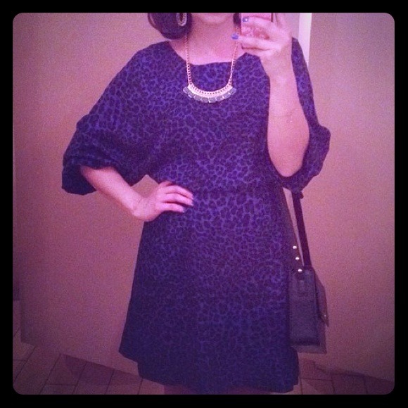 Cobalt Cheetah