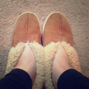 Classic Lexi Cuff Slipper Ugg shoes