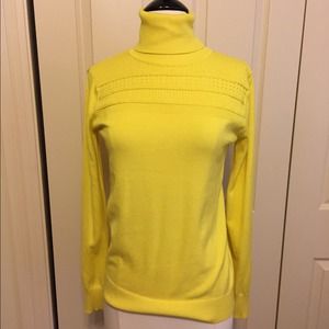 The limited medium sweater