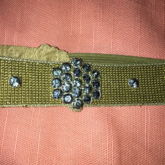 Anthropology glimmer belt