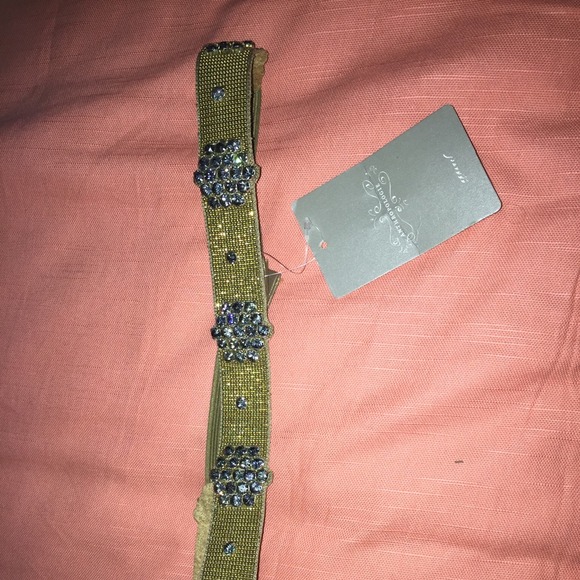 Anthropology glimmer belt