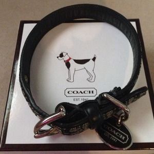 Coach Dog Collar