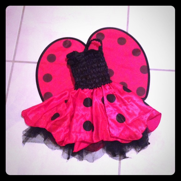 Ladybug costume