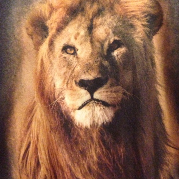 ❌ Sold!! - Picture 2 of 4