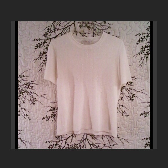 Short Sleeve Pull Over Sweater NWOTs