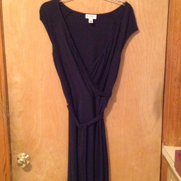 Ann Taylor Loft Size 10P Wrap Dress.
