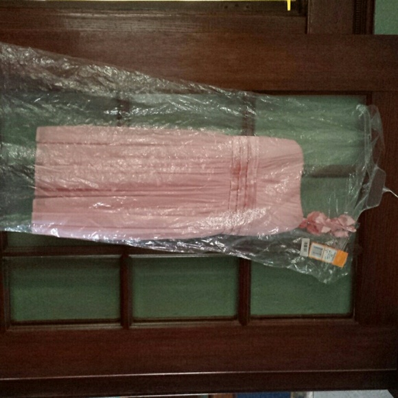 Light pink nwt