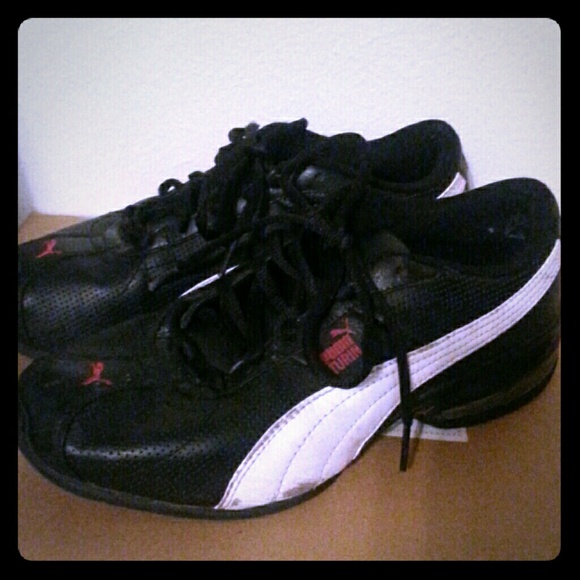 Pumas