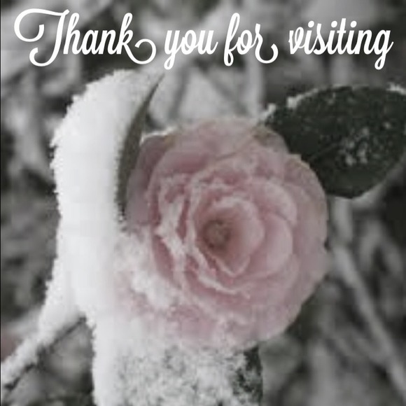 SOLD IN A BUNDLE - Picture 4 of 4