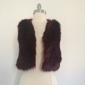 Faux Fur Wine Vest