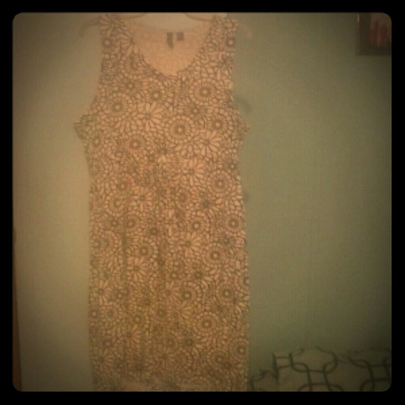 A Brown&White Sun Dress