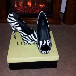 Zebra new pump