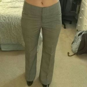 New Grey flare pants. Professional.