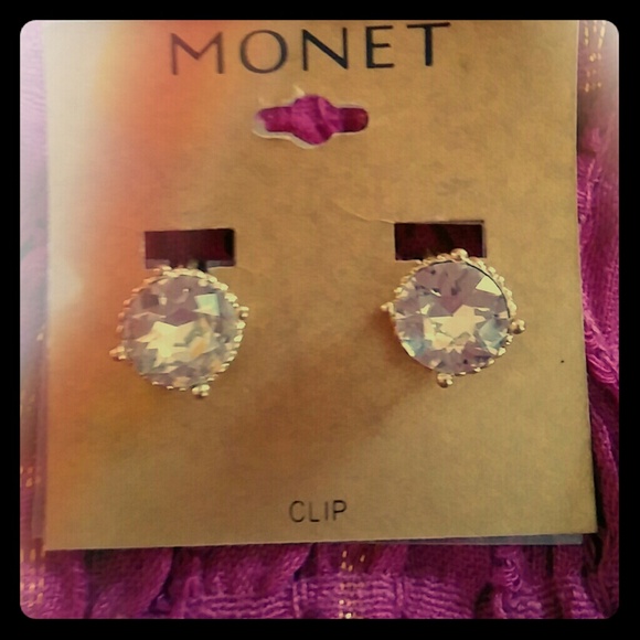 Beautiful Monet Clip Earrings