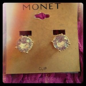 Beautiful Monet Clip Earrings