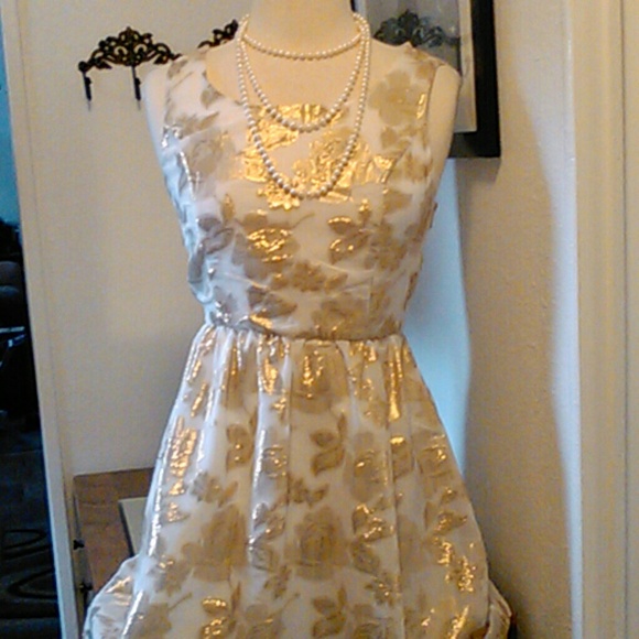 Huesday Dresses & Skirts - Gorgeous Festive Dress NWOT