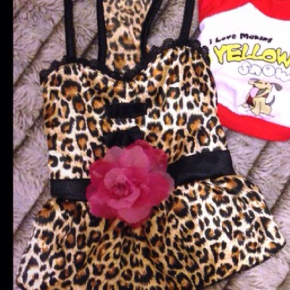 Bundle for Nancy