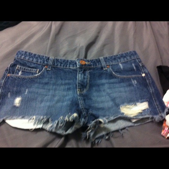 Blue jean shorts, never worn!