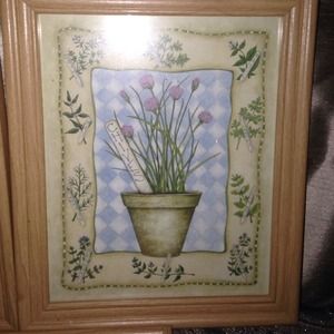 5 herb pictures