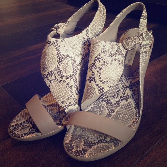 BCBG snakeskin stilettos / Excellent condition!