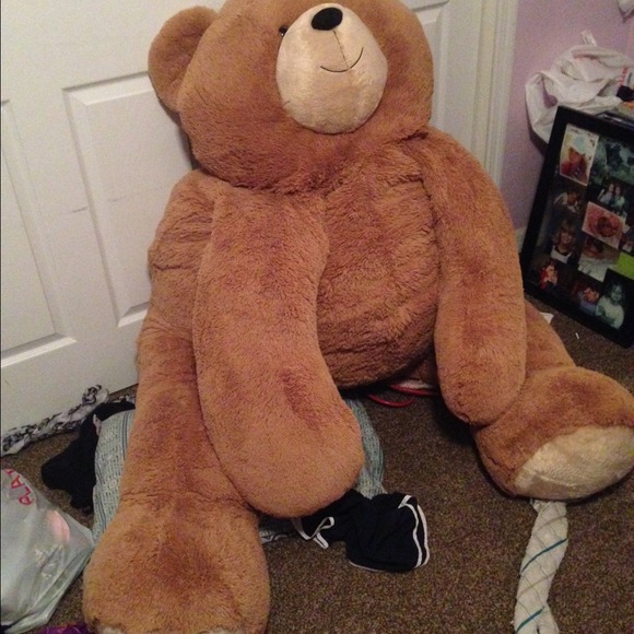 Large bear - Picture 2 of 2