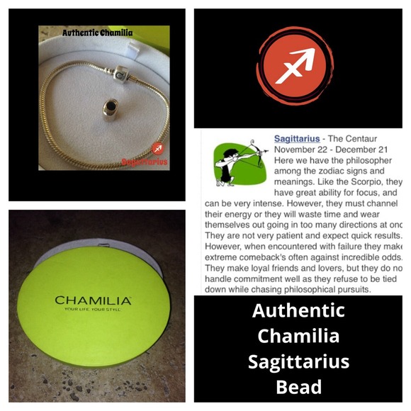 For@pandora1211 Chamilia Sagittarius/Aquarius Bead