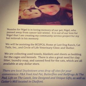 Nuzzles for Nigel-an animal shelter charity