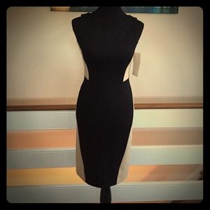 🎉🎉HOST PICK🎉🎉Must have Black and Tan dress