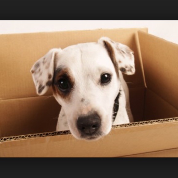 📦 I'm moving! ❌No sales through 12/19/14❌