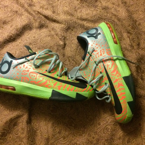 Liger KD - Picture 2 of 4