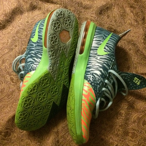 Liger KD - Picture 3 of 4