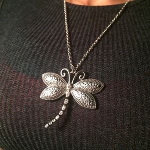 Beautiful Dragon fly necklace.