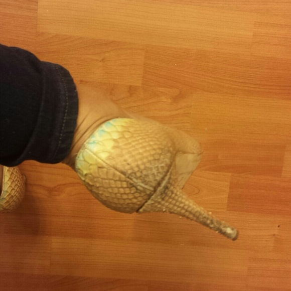 Beauties! - Picture 3 of 4