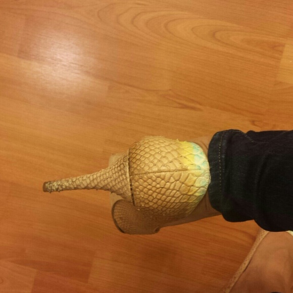 Beauties! - Picture 4 of 4