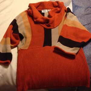 Cute Fall Colored Sweater