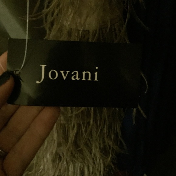 SOLD Jovani 12 Champaign Feather Dress - Picture 4 of 4