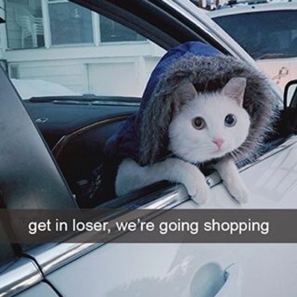 Coach sunglasses ..😉 - Picture 3 of 4