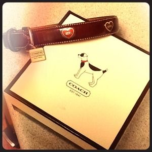 Coach dog collar 🐶🐶🐶