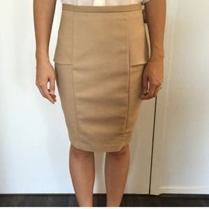 Zara Beige a Pencil Skirt
