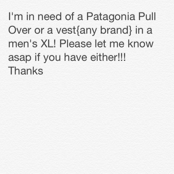 Patagonia pull over