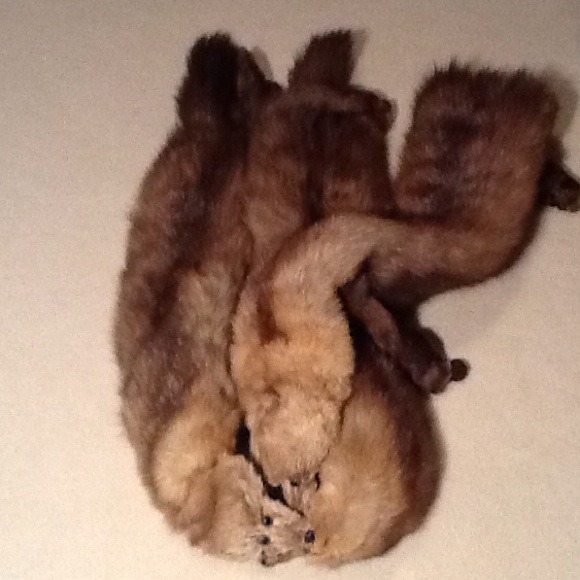 💥Flash Sale💥 3 Mink Tails - Picture 2 of 4