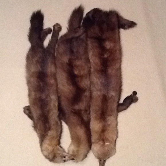 💥Flash Sale💥 3 Mink Tails - Picture 3 of 4