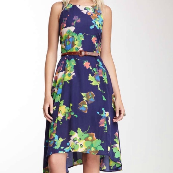 Dresses & Skirts - NWOT Patterson J Kincaid Painted Darci Dress