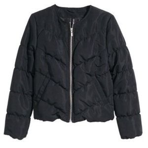Collarless padded jacket