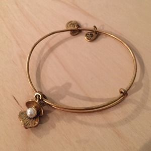 Alex and Ani bracelet