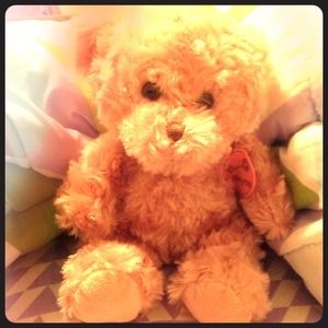 A "I love you bear"