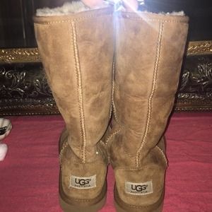 Chestnut tall uggs