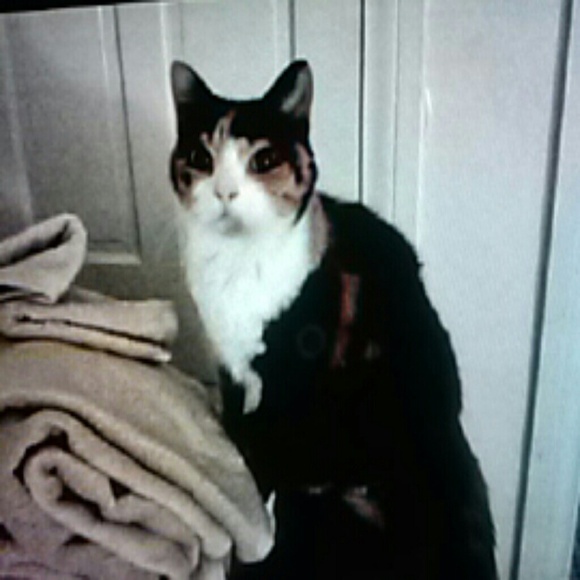 Meet me! - Picture 2 of 5