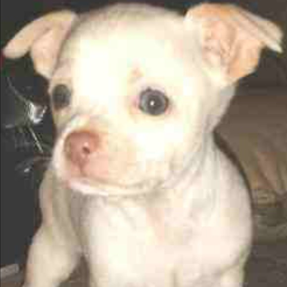 My little Luciano